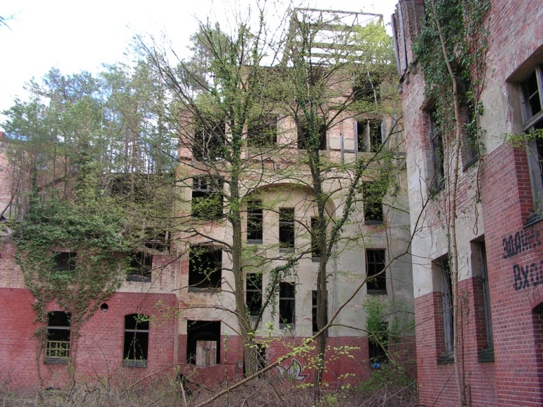 06.jpg