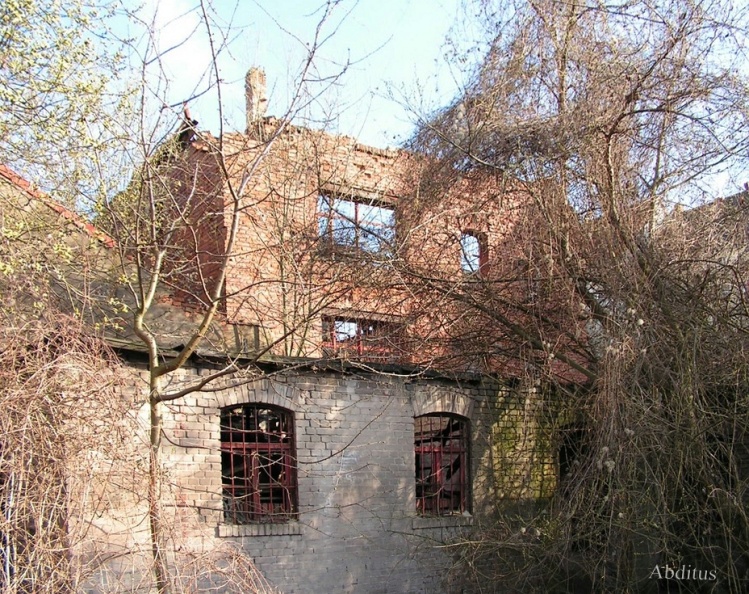 02.jpg